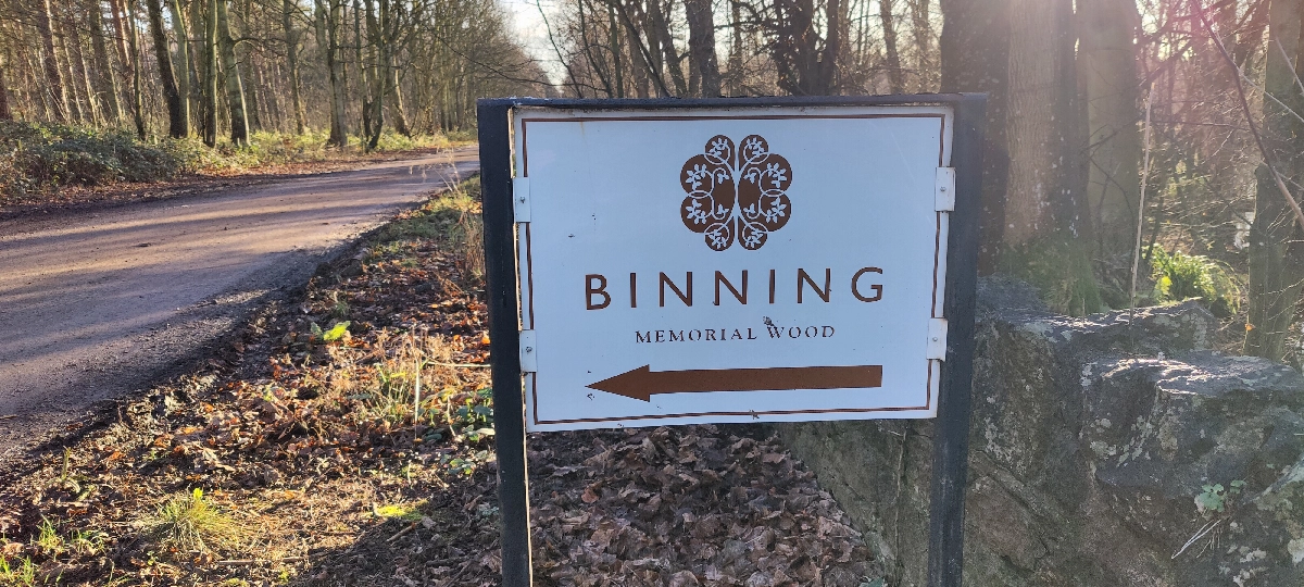 Binning Memorial Wood