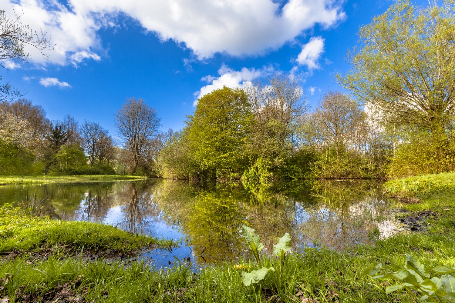 Designing Natural Burial Grounds with Permaculture Principles
