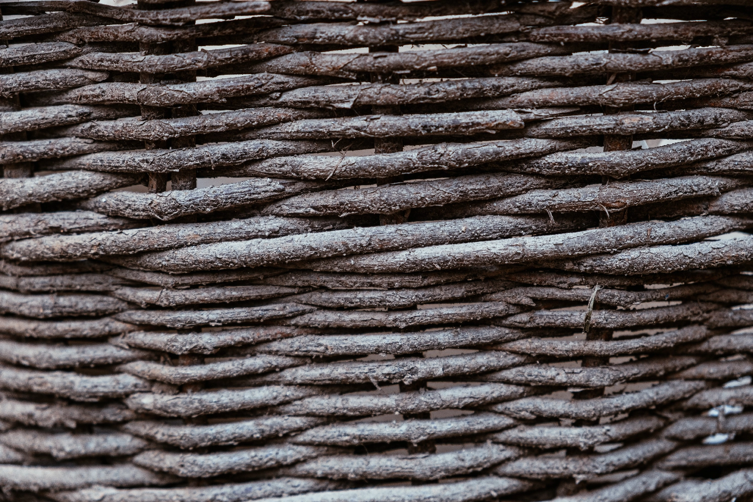 Eco Friendly Coffin A Guide to Sustainable, Natural Burial Choices