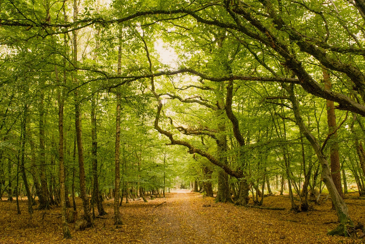 GreenAcres Epping Park