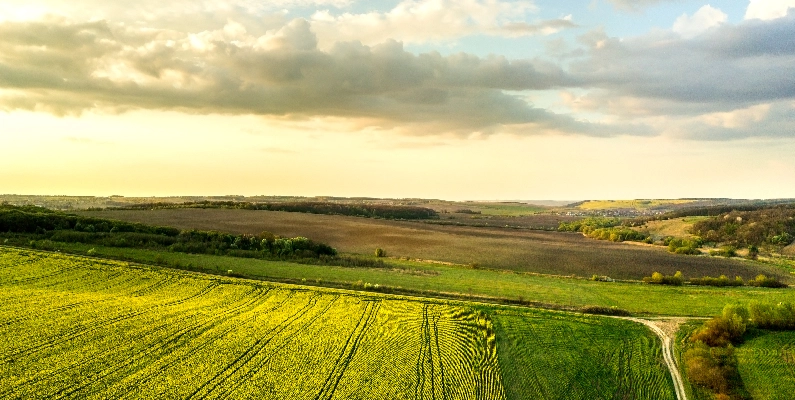 Natural Burial Grounds Bedfordshire