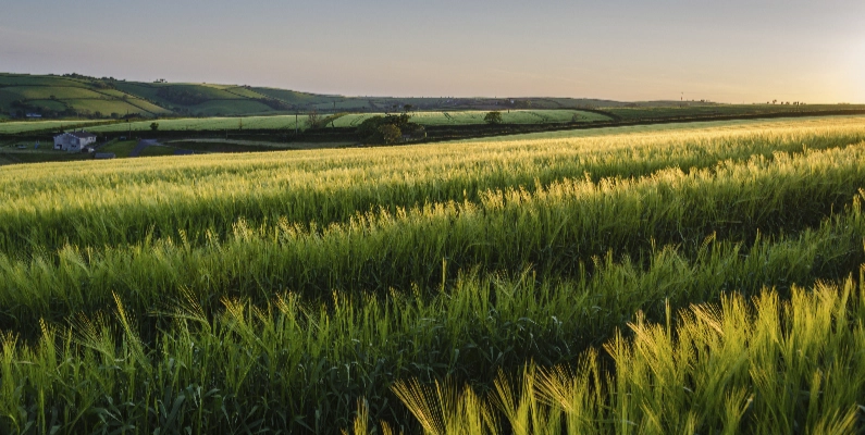 Natural Burial Grounds Berkshire