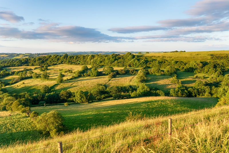 Natural Burial Grounds Buckinghamshire