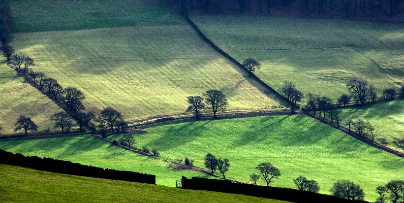 Natural Burial Grounds Carmarthenshire