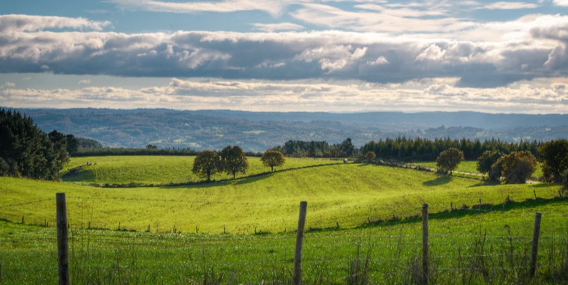 Natural Burial Grounds Cheshire