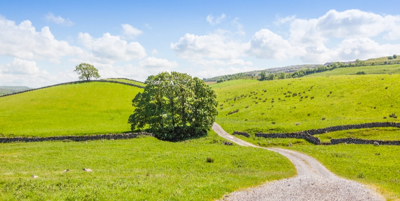 Natural Burial Grounds County Durham
