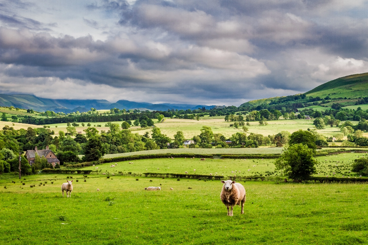 Natural Burial Grounds Cumbria