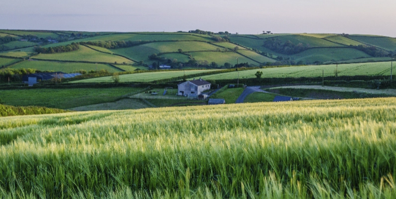 Natural Burial Grounds Devon