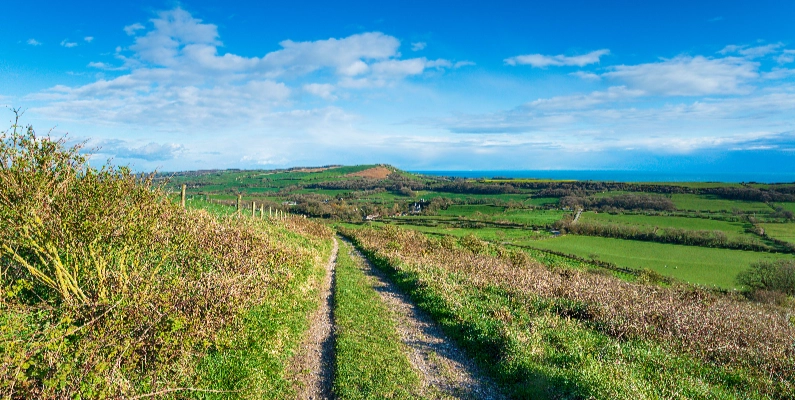Natural Burial Grounds Essex