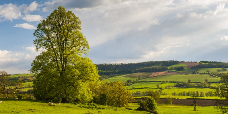 Natural Burial Grounds Gloucestershire