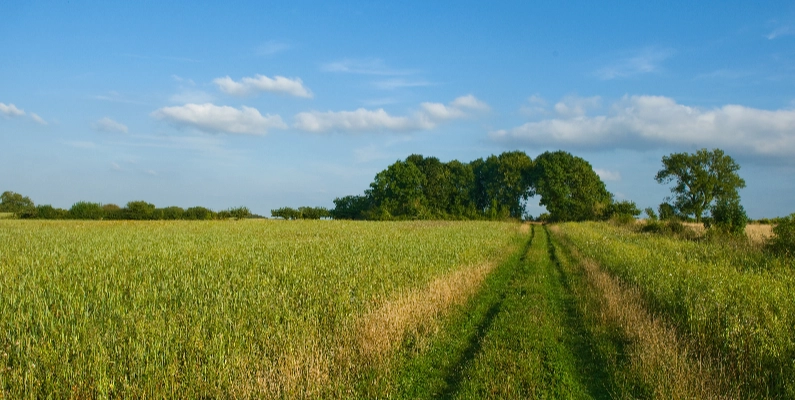 Natural Burial Grounds Gwynedd