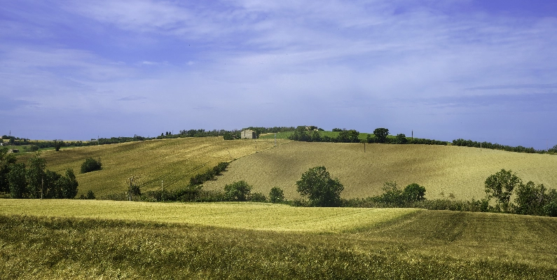 Natural Burial Grounds Hampshire