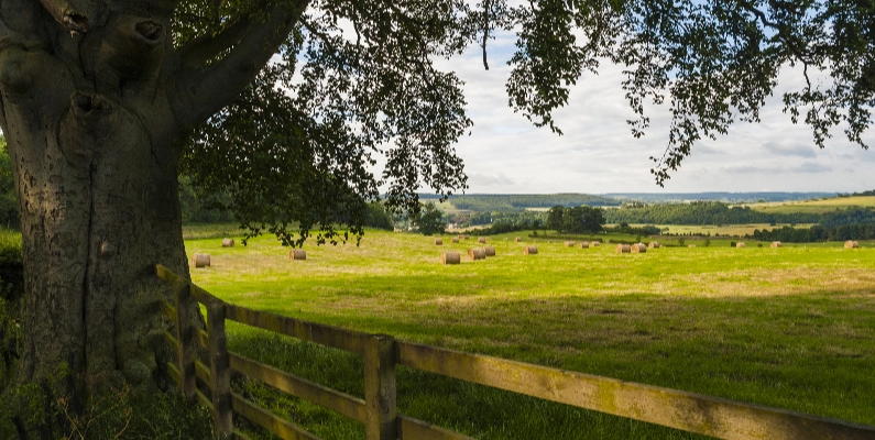 Natural Burial Grounds Herefordshire