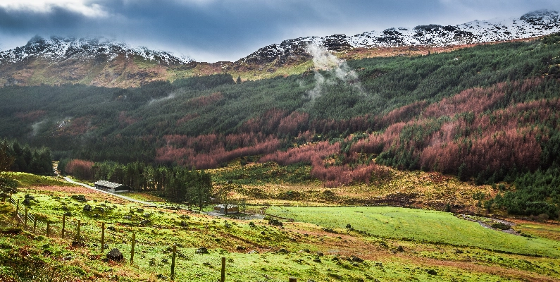 Natural Burial Grounds Highlands