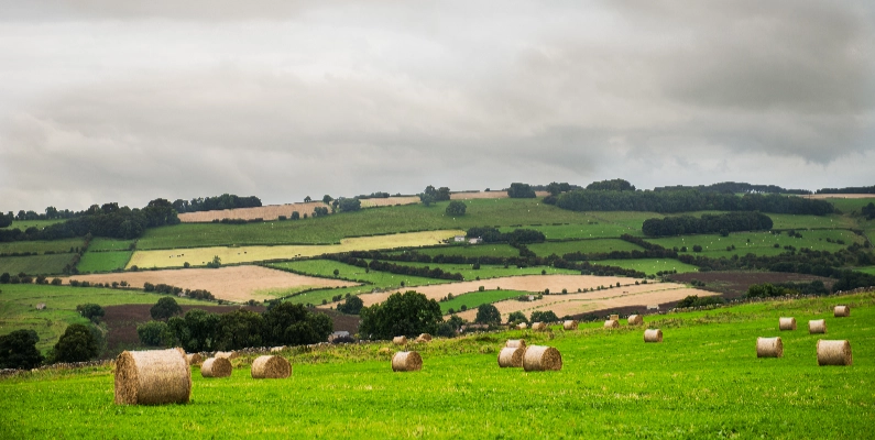 Natural Burial Grounds Ireland