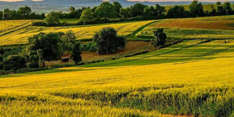 Natural Burial Grounds Lancashire