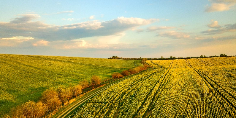 Natural Burial Grounds Leicestershire