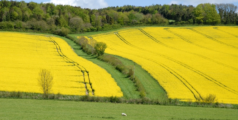 Natural Burial Grounds Nottinghamshire