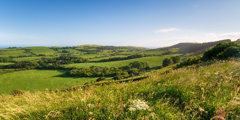 Natural Burial Grounds Pembrokeshire