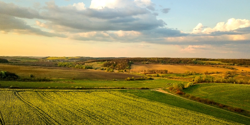 Natural Burial Grounds Somerset