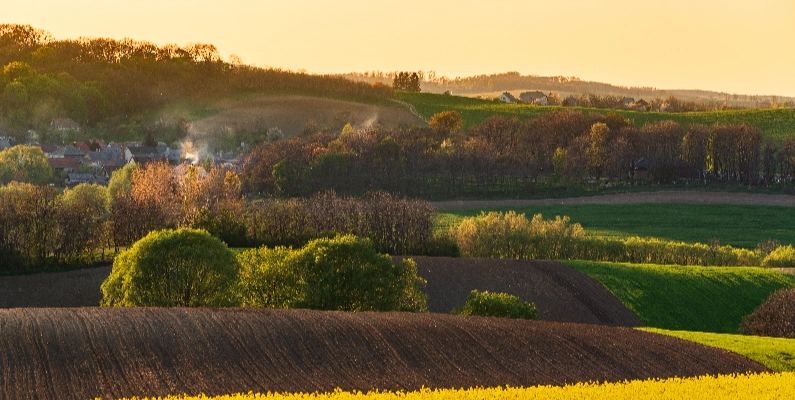 Natural Burial Grounds South Yorkshire
