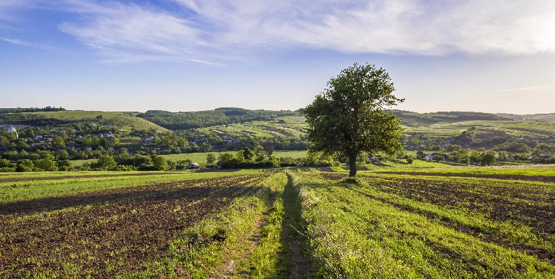 Natural Burial Grounds Staffordshire