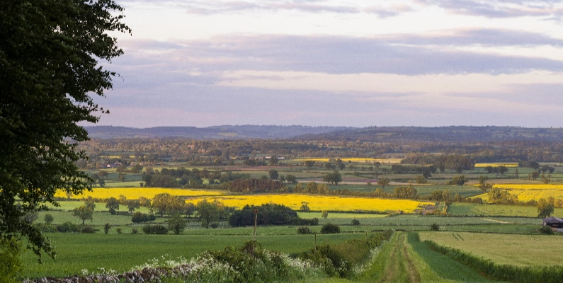 Natural Burial Grounds Surrey