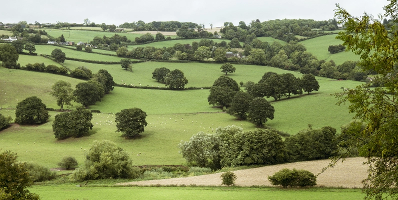 Natural Burial Grounds Vale of Glamorgan