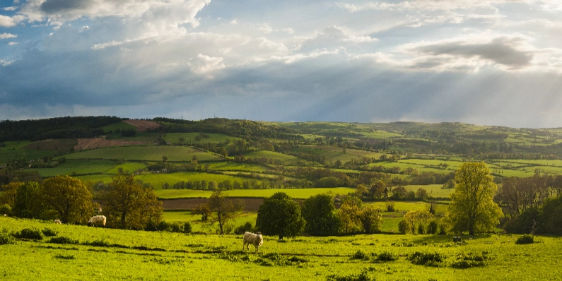 Natural Burial Grounds Warwickshire