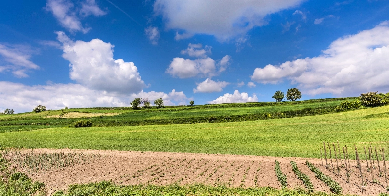 Natural Burial Grounds Northamptonshire