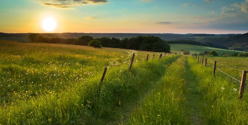 Natural Burial Grounds West Sussex
