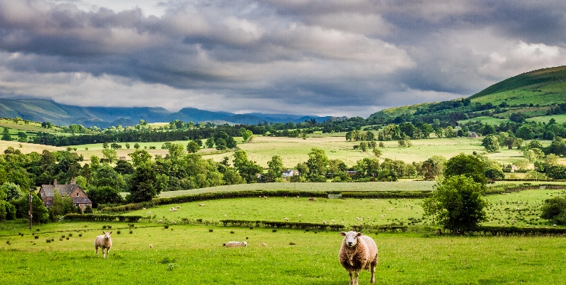 Natural Burial Grounds West Yorkshire