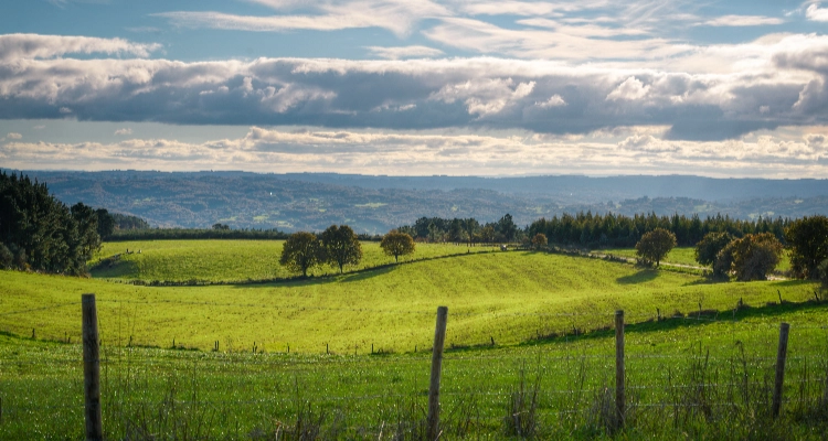Natural Burial Grounds Westmorland