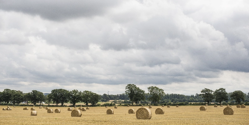 Natural Burial Grounds Wiltshire