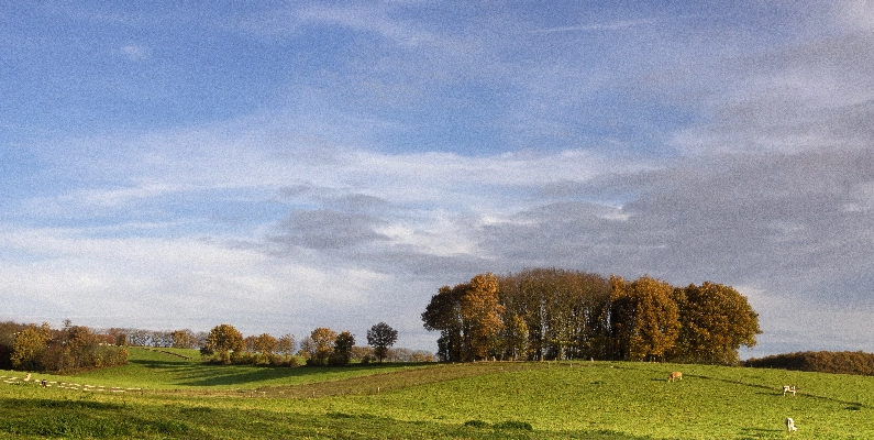 Natural Burial Grounds Worcestershire