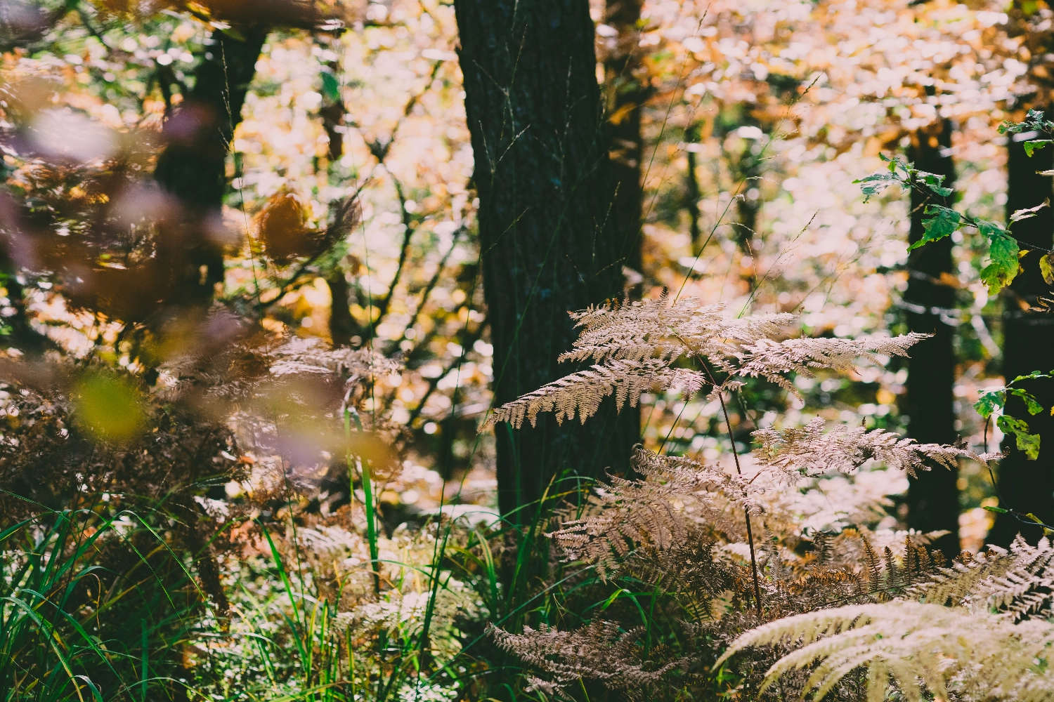 Shrouds and Natural Burial – Returning to Simplicity