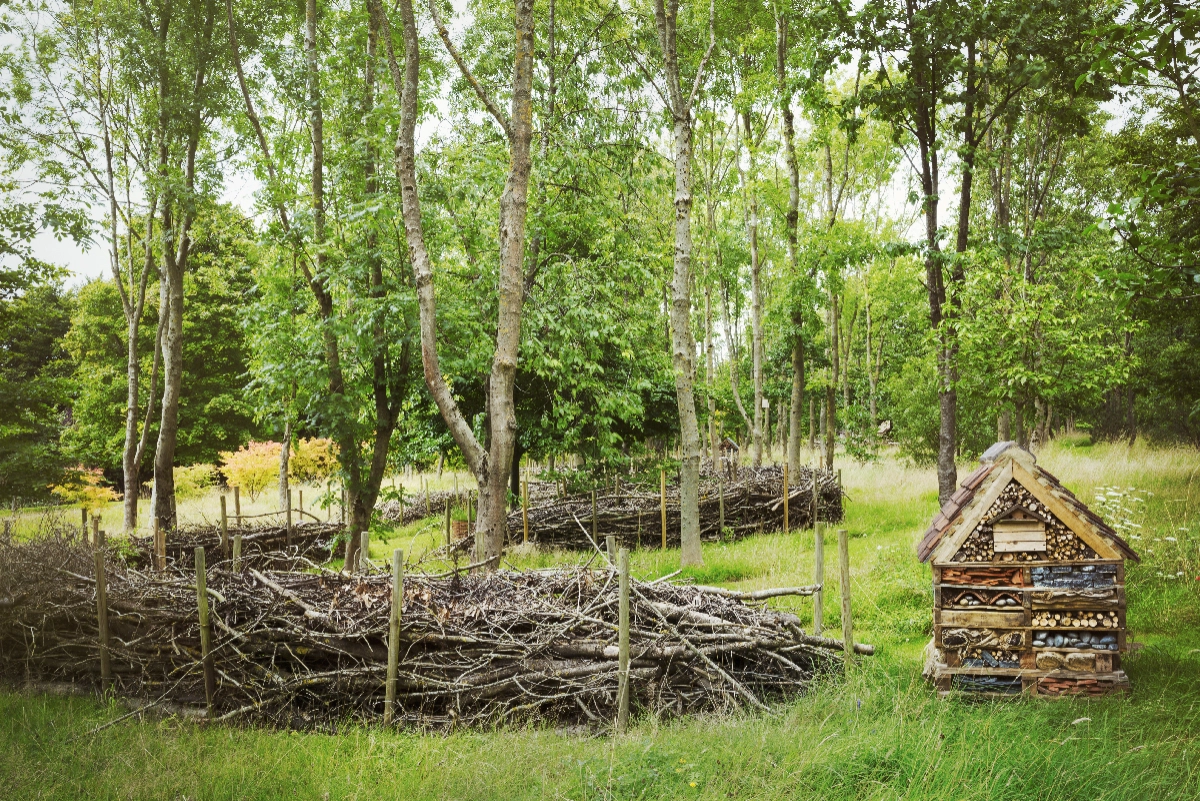 Association of Natural Burial Grounds