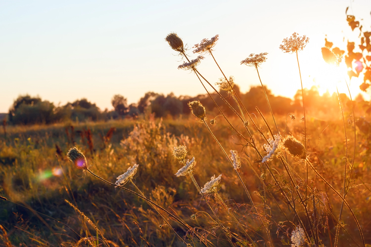 Why Choose a Natural Burial