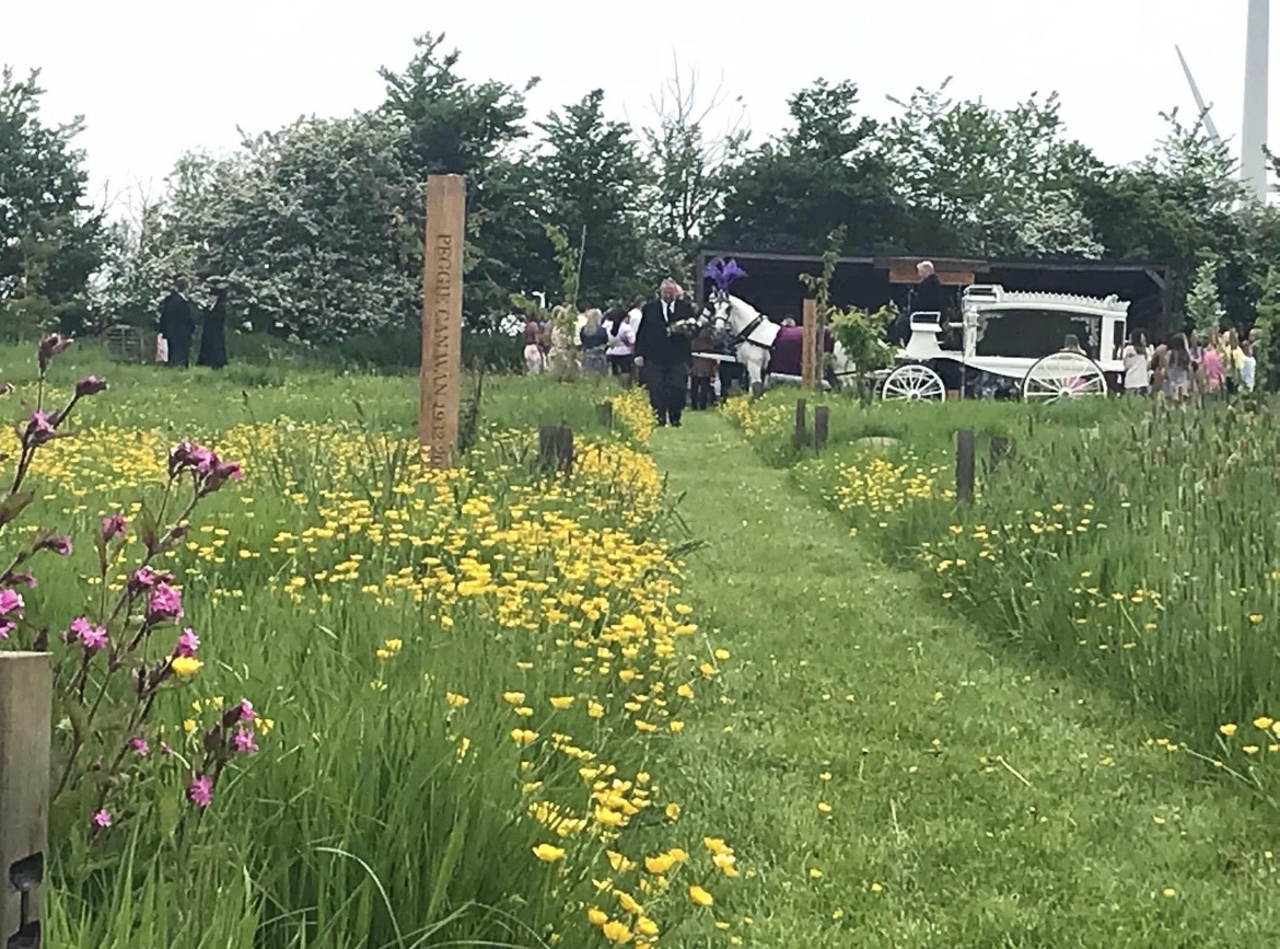 Windmills Natural Green Burial