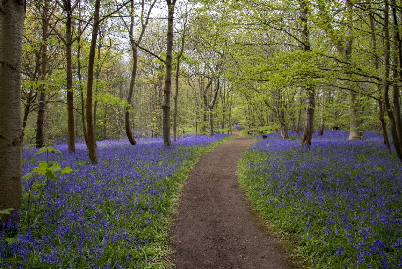 Harty Natural Burial Ground