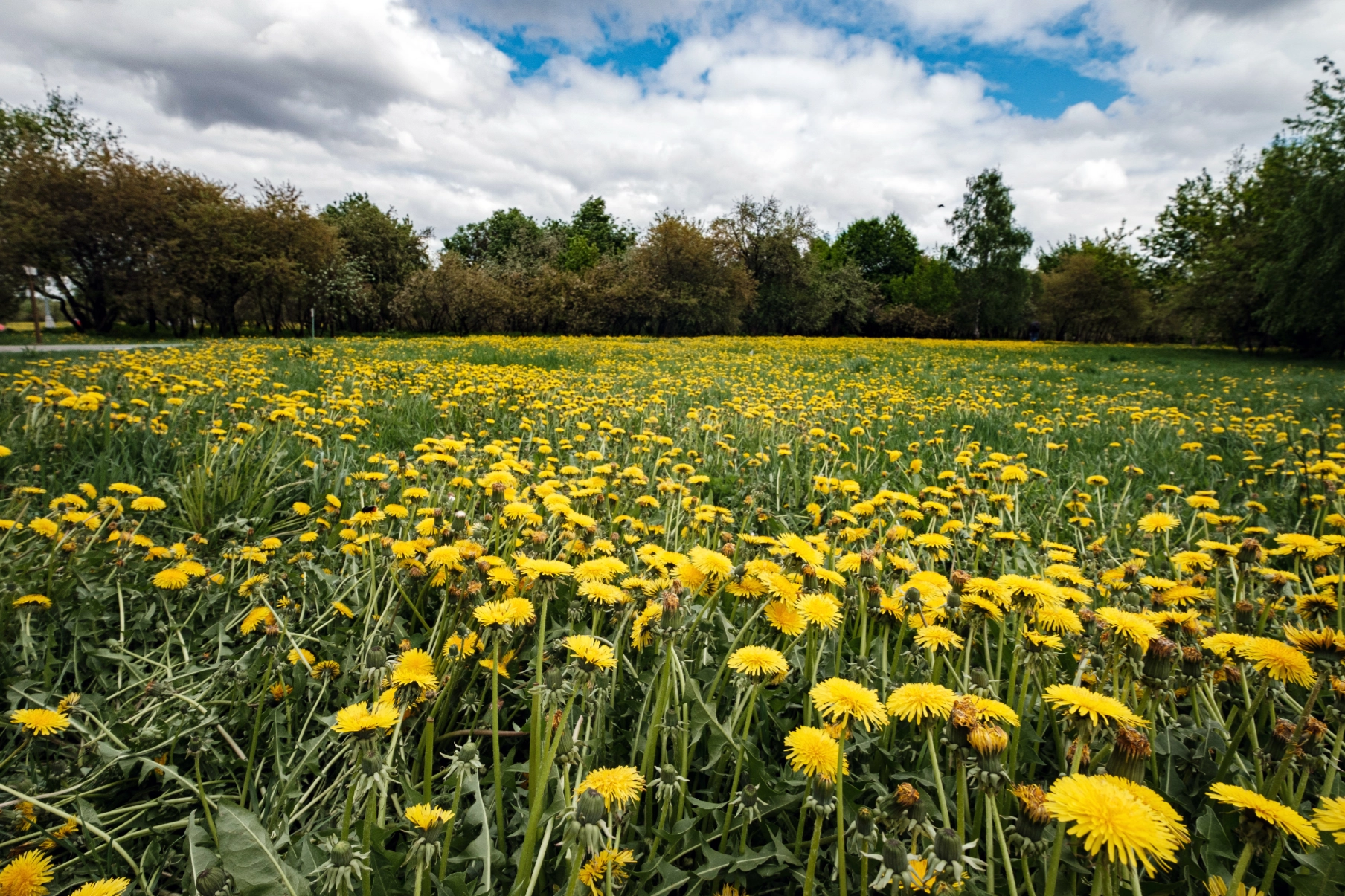 Tithe Green Natural Burial - Oxton