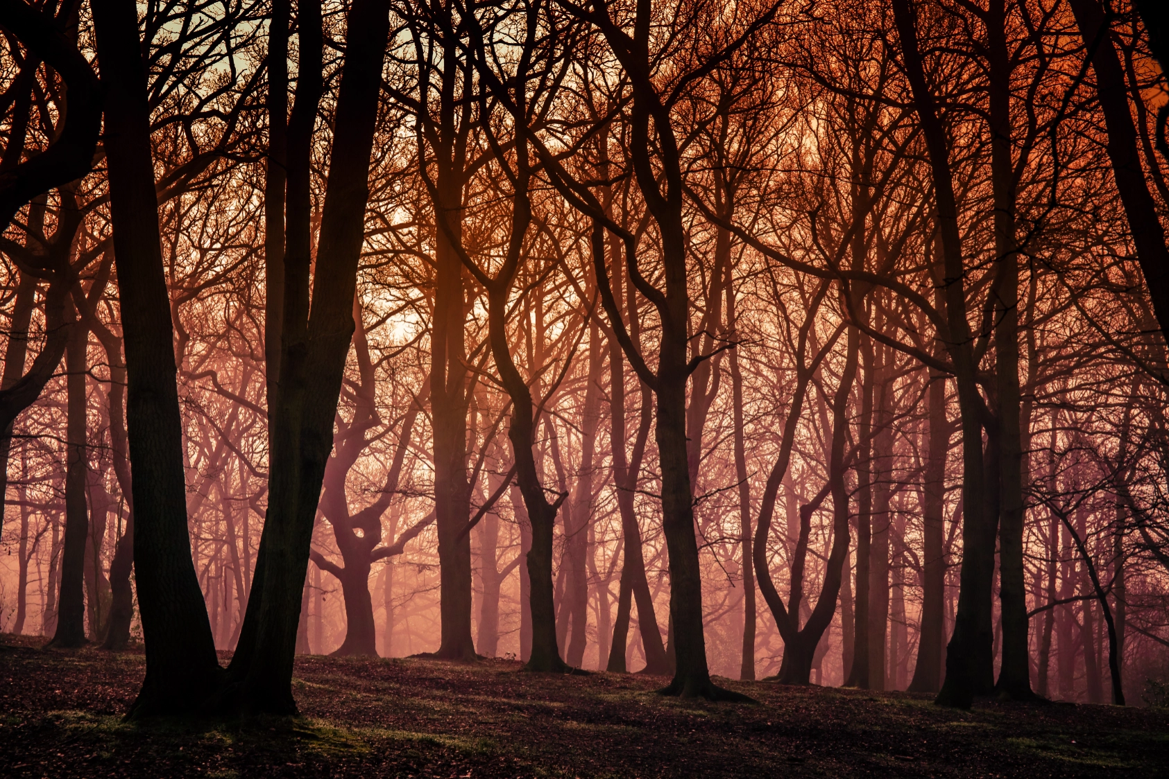 Woodlands Burial Ground